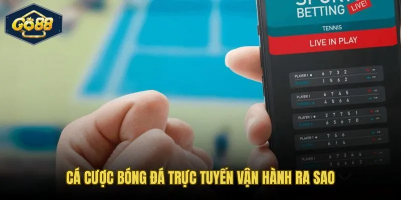 Dòng tiền và đội hình ra sân tác động lên tỷ lệ kèo theo từng nhịp trận