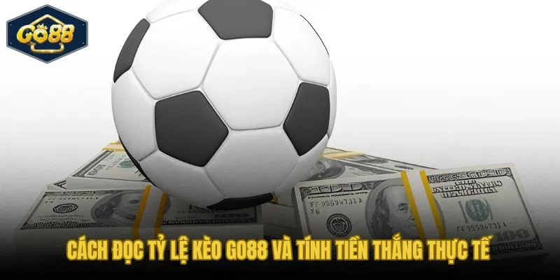 Đọc bảng odds và tính tiền thắng chuẩn xác theo từng cửa cược