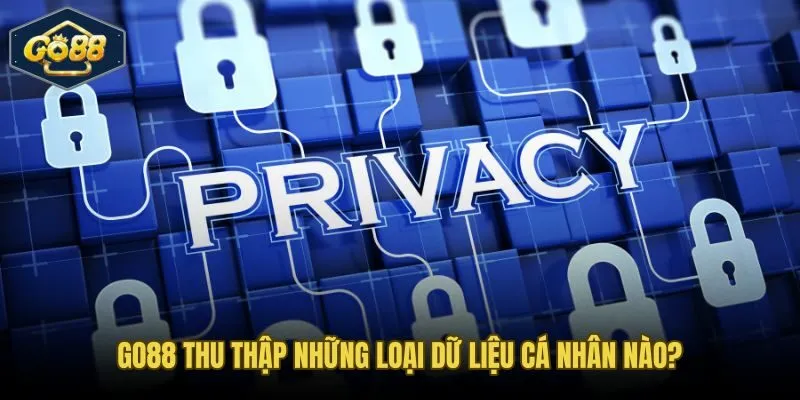 Năm nhóm dữ liệu cá nhân Go88 thu thập và quyền riêng tư tương ứng